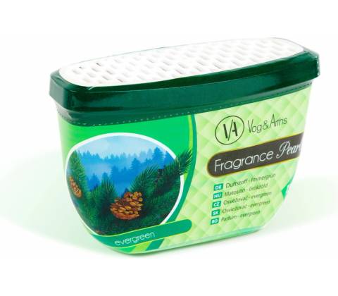 Paloma Gold - Evergreen