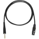 Bespeco PYMA600