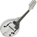 Stagg M50 E