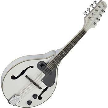 Stagg M50 E