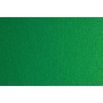 Fabriano Картон Colore, 70 x 100 cm, 200 g/m2, № 231, зелен (1530100094)