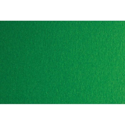 Fabriano Картон Colore, 70 x 100 cm, 200 g/m2, № 231, зелен (1530100094)