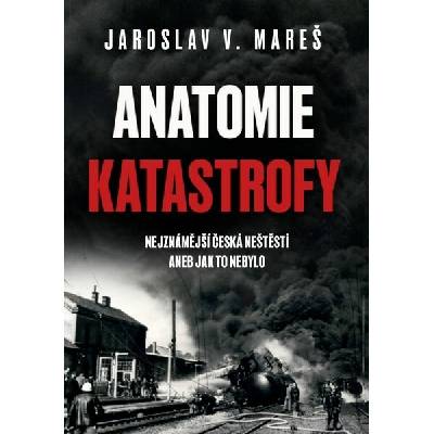 Anatomie katastrofy