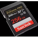 SanDisk SDXC UHS-I U3 256 GB SDSDXXD-256G-GN4IN