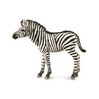 Collecta Zebra