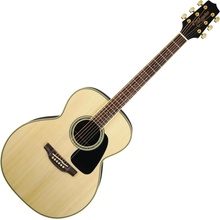 TAKAMINE GD51
