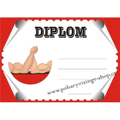 VIZINGR Páka diplom A4 č.2
