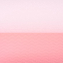 BeastPink Yoga Mat