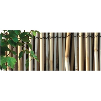 Rohož/rákos lesk/2x5m/PLD/