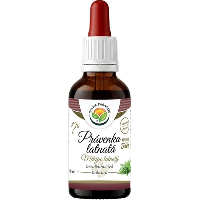 Salvia Paradise Právenka latnatá AF tinktura 50 ml