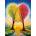 Magnolia - Puzzle Union - 1 000 piese