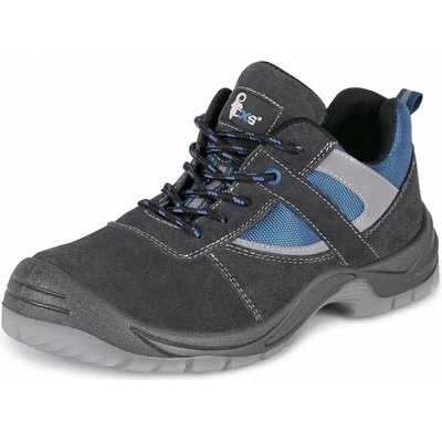 CXS DOG DOBRMAN S1 212510370646