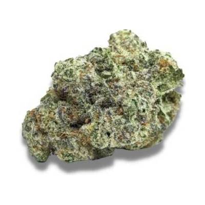 Growers Choice MAC 1 AUTO semena neobsahují THC 5 ks