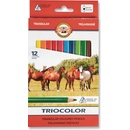 Koh-i-Noor 3142 12 ks