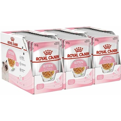 Royal Canin Kitten Instinctive Jelly v želé 36 x 85 g