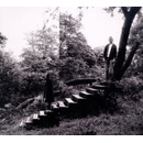 Timber Timbre - Timber Timbre CD