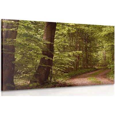 Obraz zelený les - 30x20