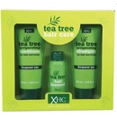 Xpel Tea Tree šampon na vlasy 100 ml + kondicioner na vlasy 100 ml + vlasové sérum 30 ml darčeková sada