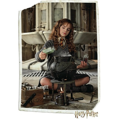 Europosters Plagát, Obraz - Harry Potter - Hermione Granger, 26.7 × 40 cm