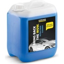 Kärcher RM 527 Ultra penový čistič 5 l