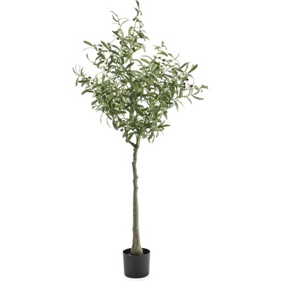 Umělá rostlina EVERGREEN, olivovník, výška 1700 mm, 1 ks