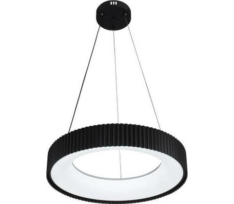 Nedes N2304