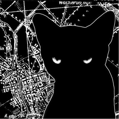 Wilderness: III LP