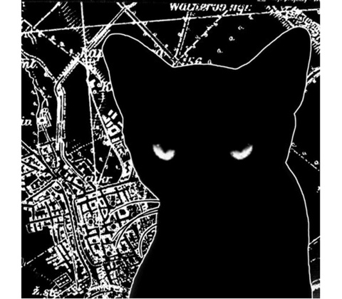 Wilderness: III LP