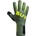 BU1 Gator nc 7.5