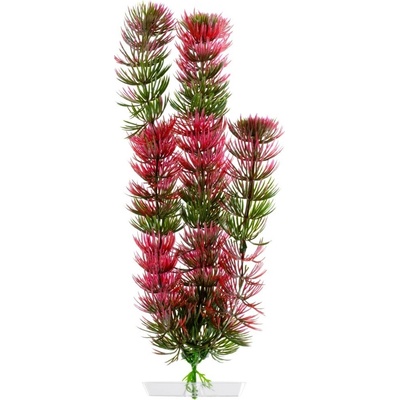 JK ANIMALS Red Anacharis 25-28 cm