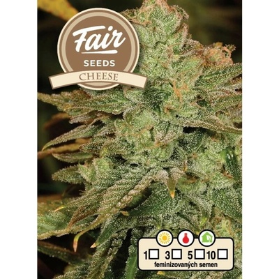 Fair Seeds Cheese semienka neobsahujú THC 5 ks