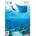 Nintendo Endless Ocean (Wii)