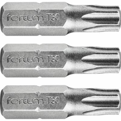 Fortum T30x25 mm 3 ks 4741430