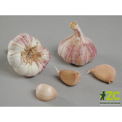 Česnek sadbový Germidour 4 palice fialový 50-60 mm