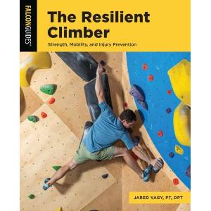 The Resilient Climber (ISBN: 9781493088447)