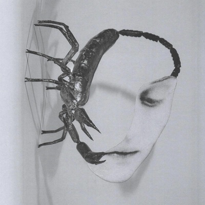 Tortoise - TOUCH CD