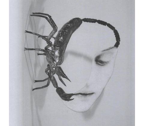 Tortoise - TOUCH CD