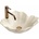 Rea Flower U7886