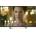 Panasonic TX-40ES513E