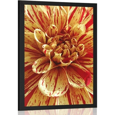 Plakát exotická dália - 20x30 black