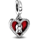 Pandora 793119C01