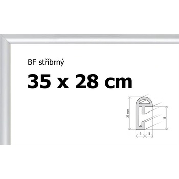 BFHM Plastový rám 35x28cm stříbrný