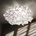 Slamp CLI78PLF0000W_000