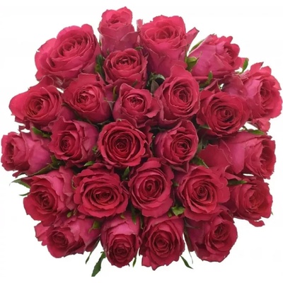 Kytice 25 vínových růží MADAM CERISE 60cm