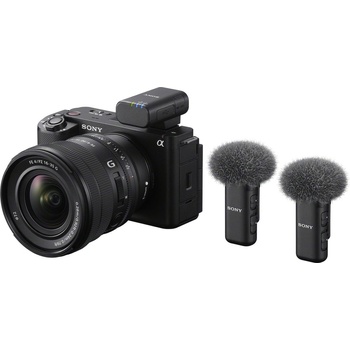 Sony ECM-W3