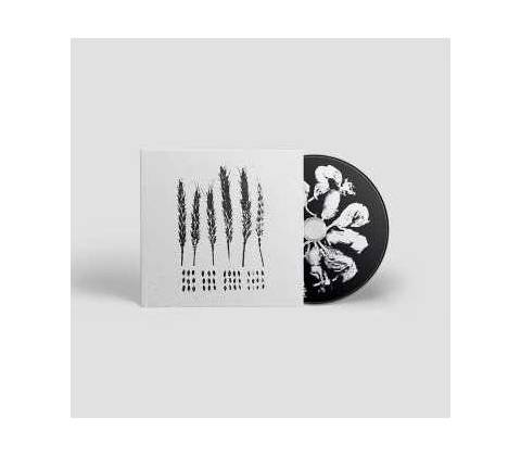 Lo! - The Gleaners CD