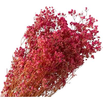 FLOWERIO Stabilizovaná Gypsophila veľkokvetá - Nevestin závoj 110g - ružová