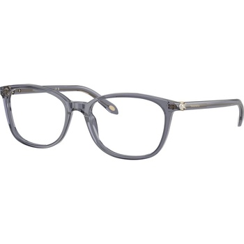 Tiffany & Co TF2109HB 8405