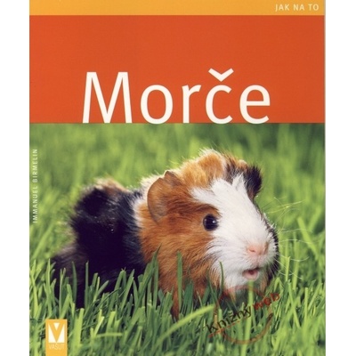 Morče - Jak na to - Immanuel Birmelin