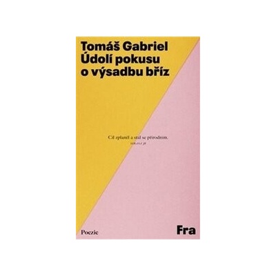Údolí pokusu o výsadbu bříz - Tomáš Gabriel
